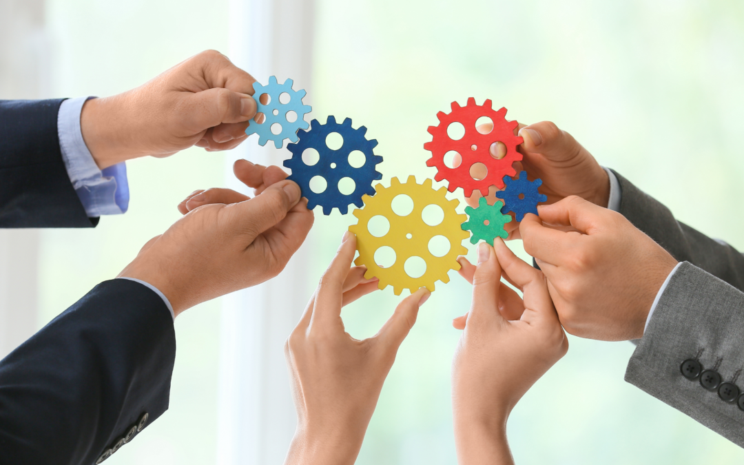 estructura operativa negocio